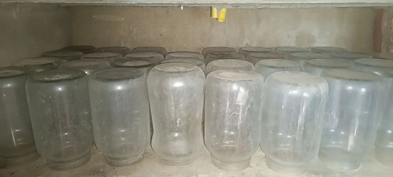 Vidros Para Criação de Betta - Foto 2