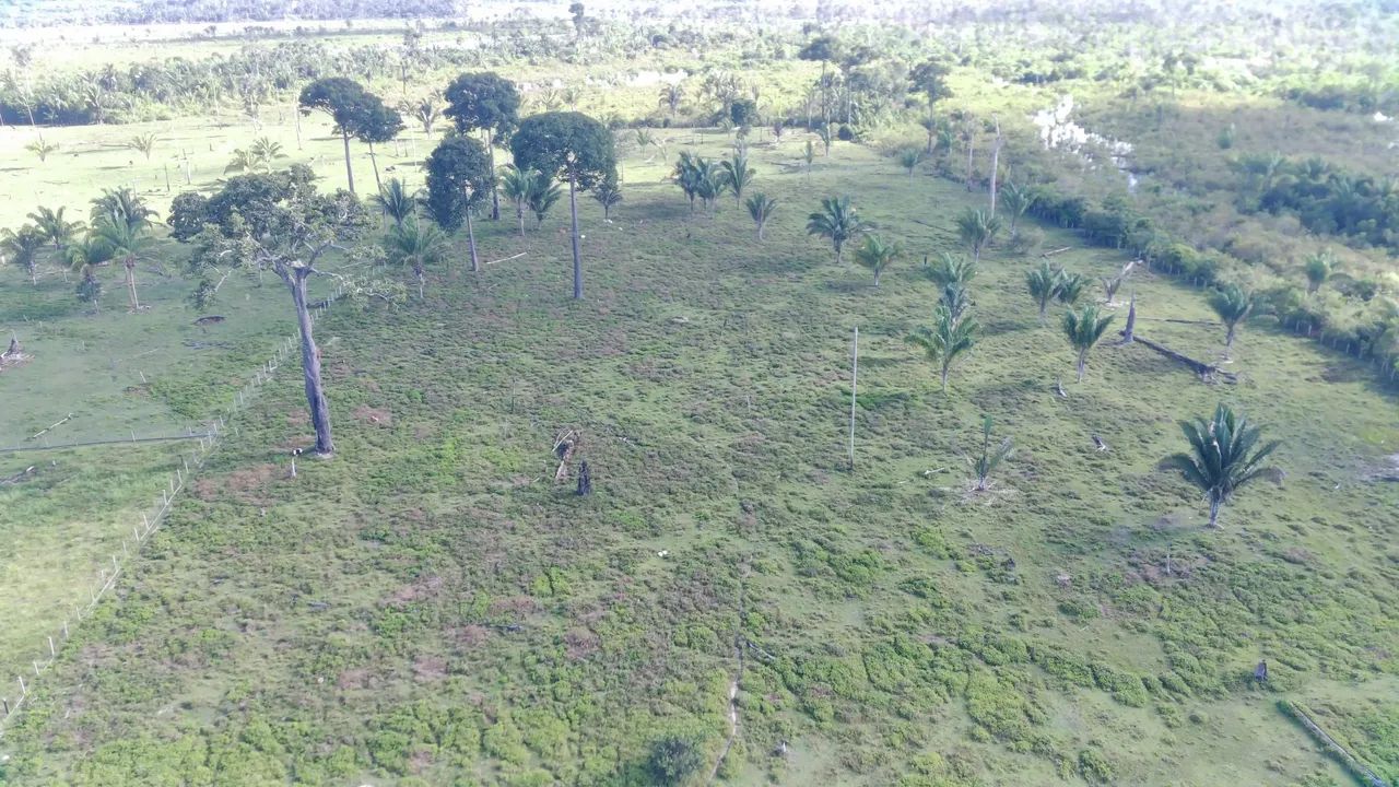 Fazenda no Rio Ituxi - Foto 4