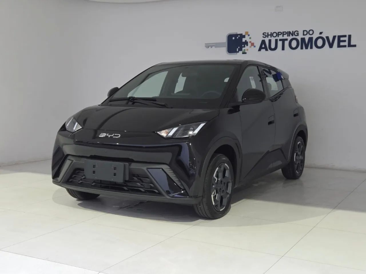 BYD Dolphin Mini (Elétrico) 2027
