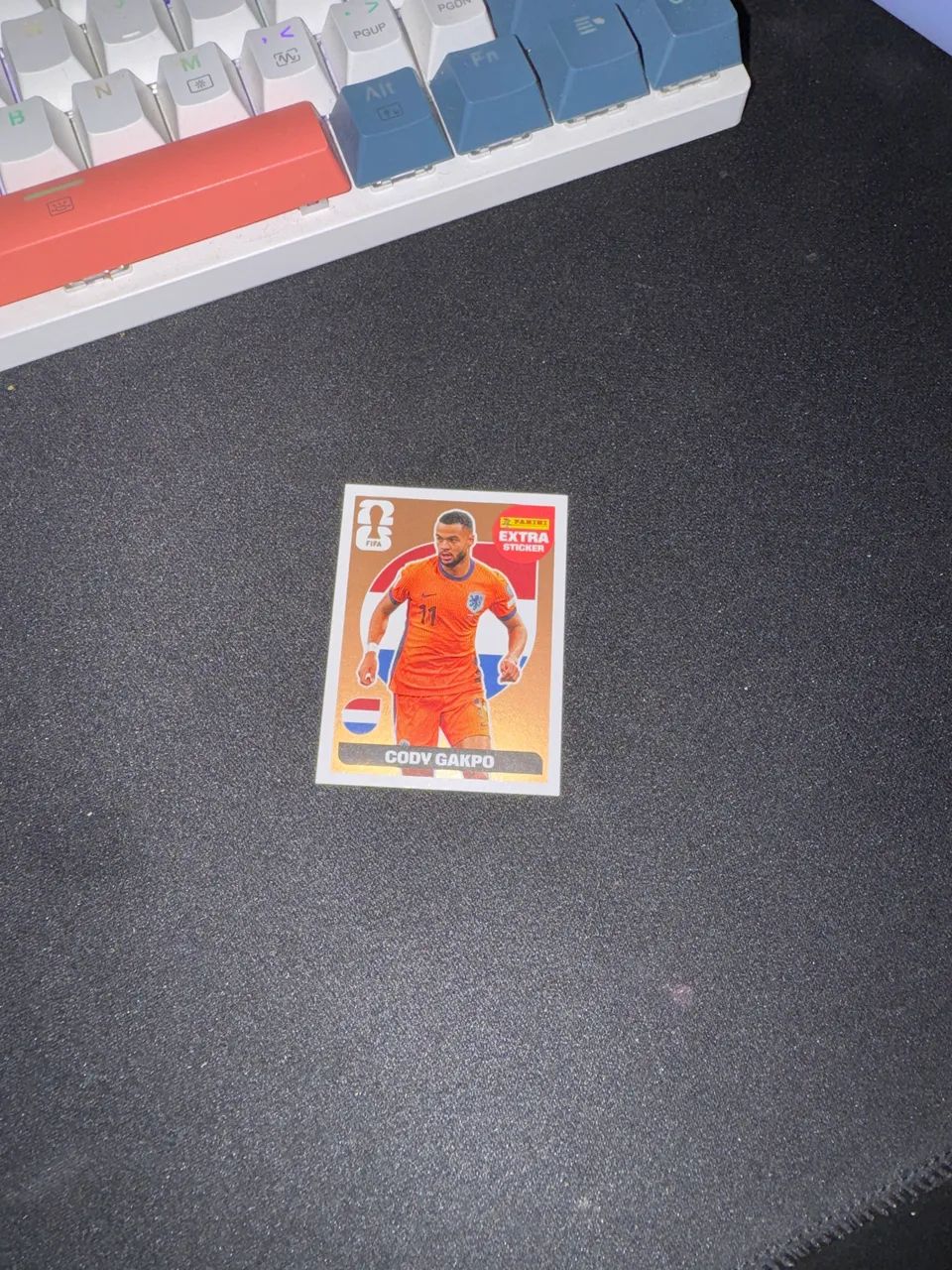 Extra sticker Cody Gakpo Bronze