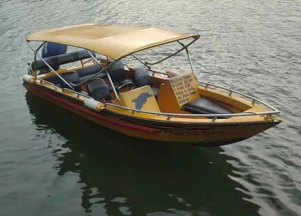 Vendo voadeira  - Foto 2