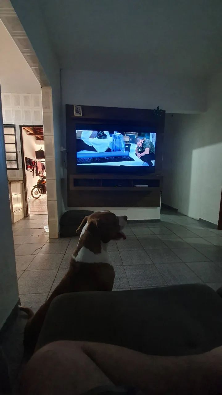 Vende-se TV Samsung 65 polegadas  - Foto 5