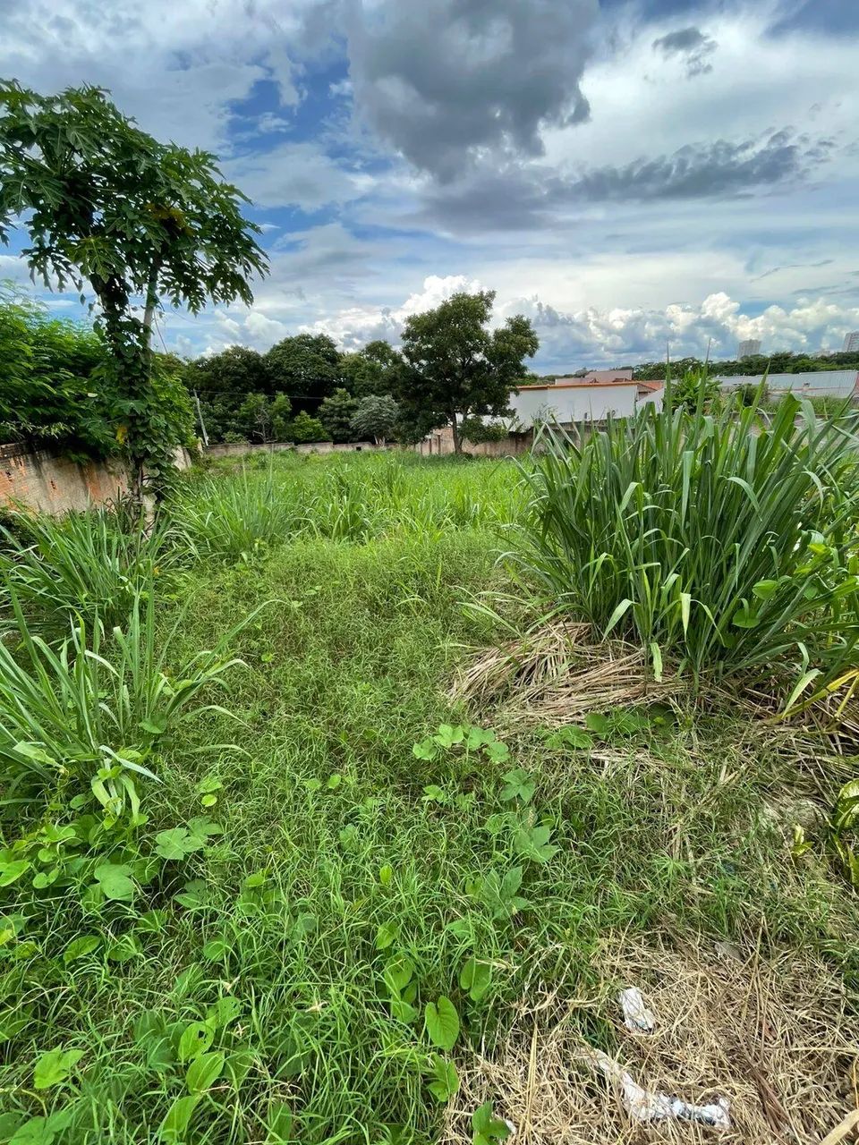 Terreno a venda no bairro Santa Marta! - Foto 2