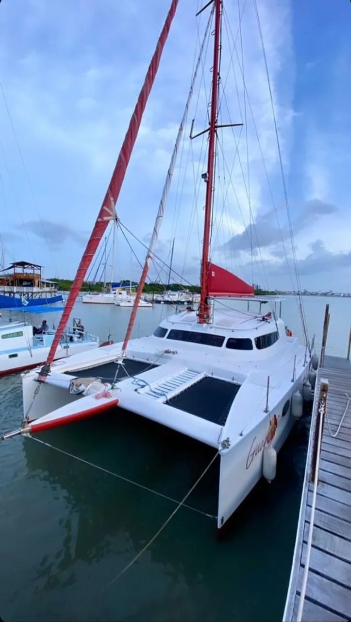 Catamarã BV 36  | 2016 - Foto 2