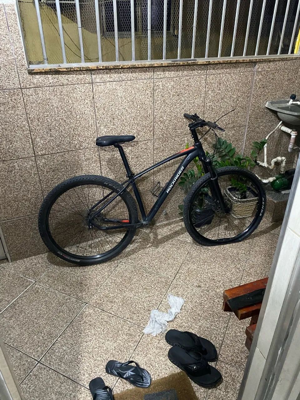 Rock rider 