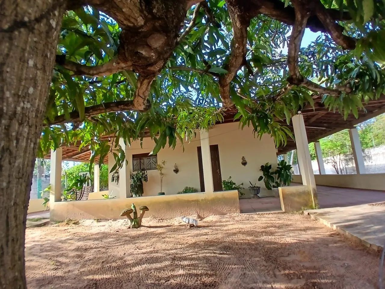 Granja Acari  - Foto 5