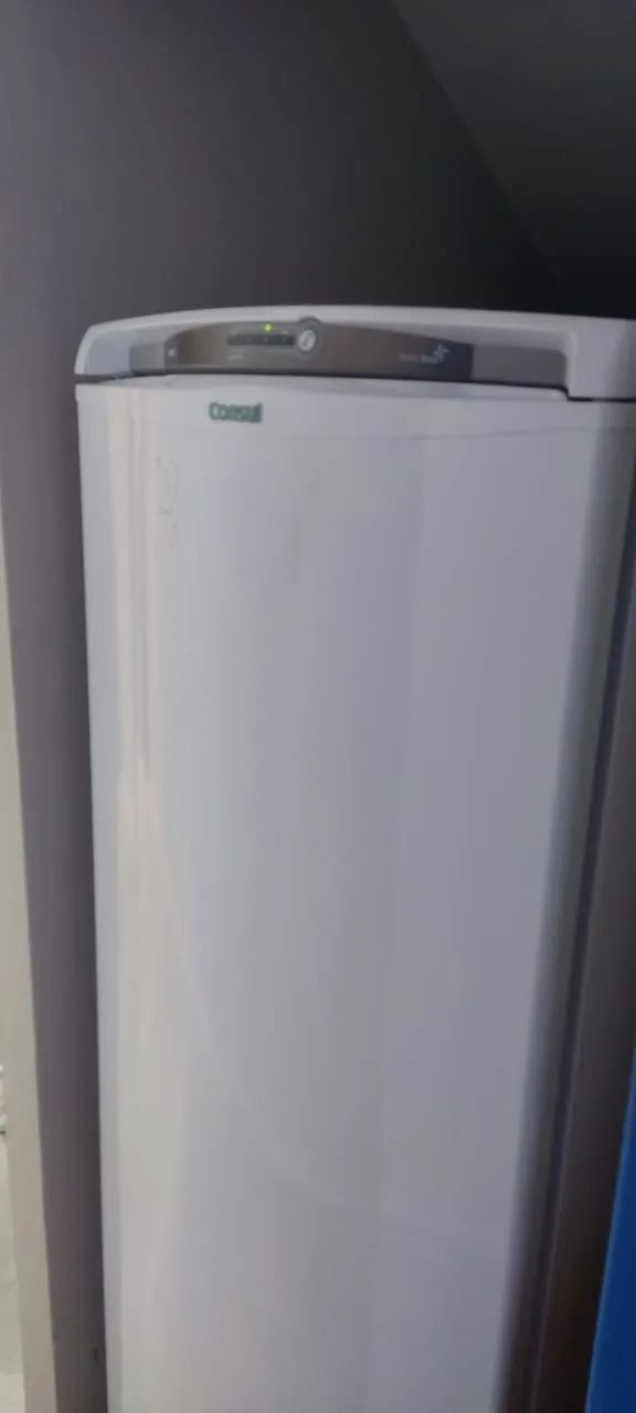 Geladeira Consul Frost Free 300 litros