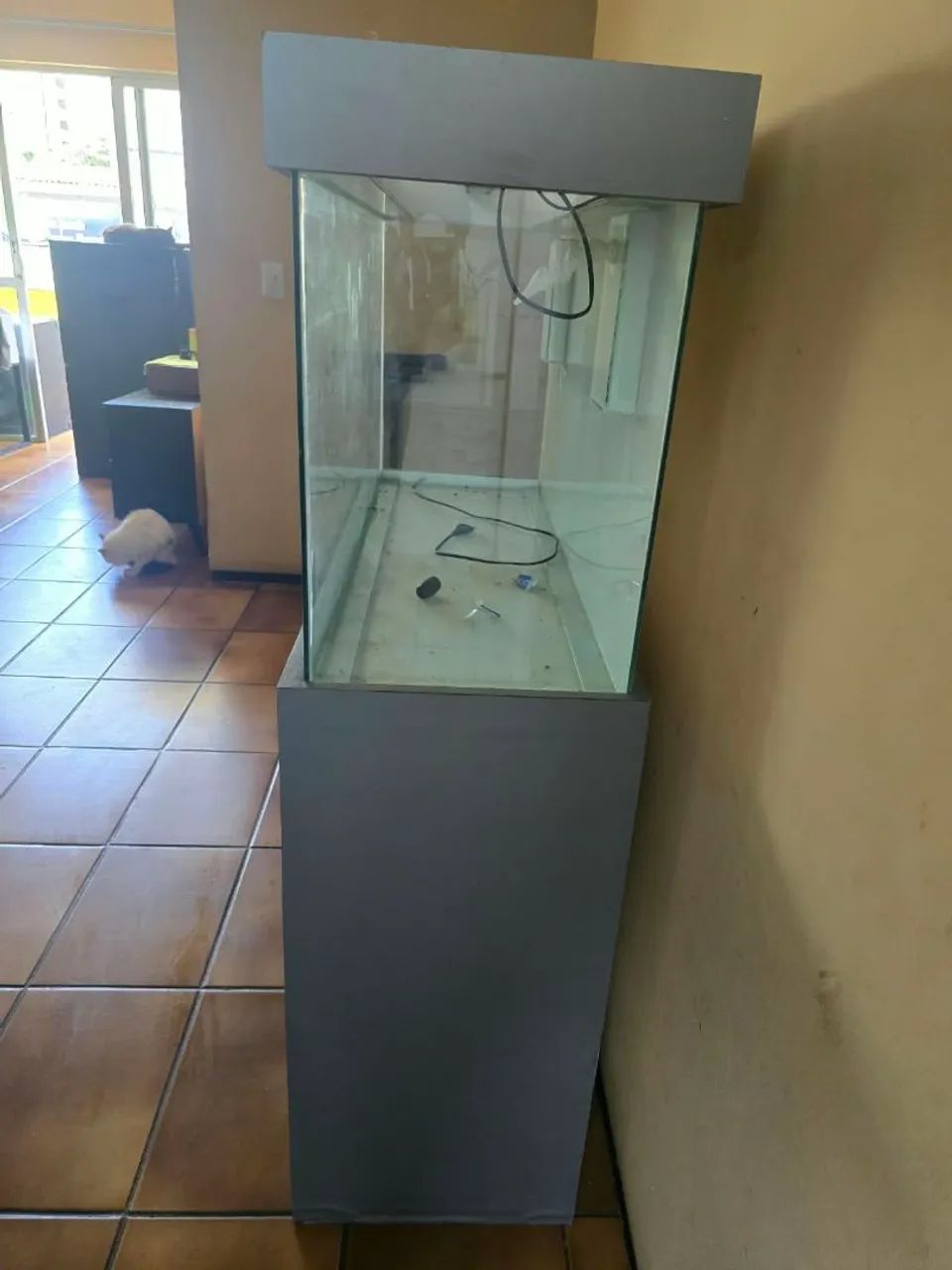 Aquário  - Foto 5