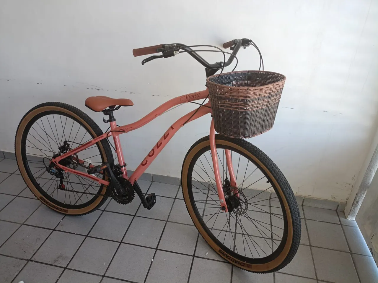 【限定300】BICYCLE INDEX ONLY Gilded Bike 300$ - Ciclismo - Lagoa Nova, Natal 1511236470 | OLX