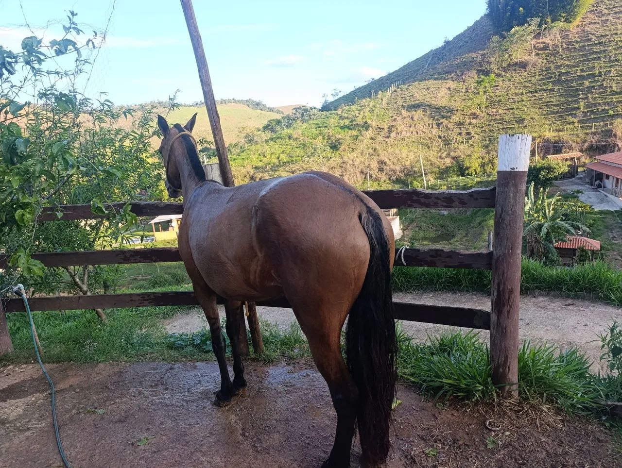 Oportunidade  - Foto 4