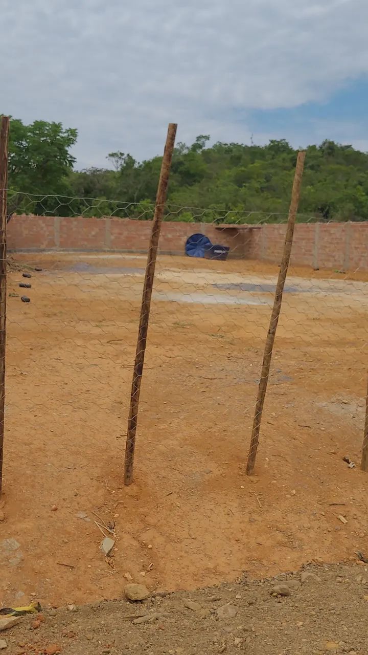 Lote  - Foto 4