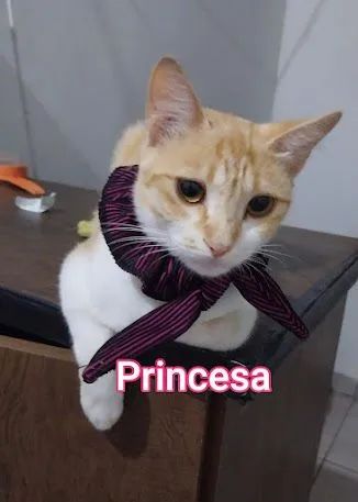 DOAÇÃO RESPONSÁVEL  - Foto 2