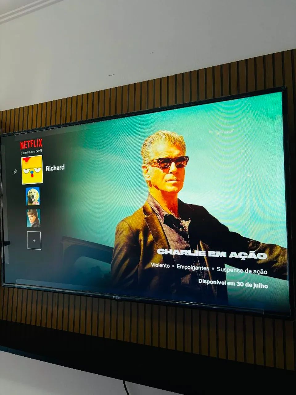 TV Philco 43 polegadas com painel
