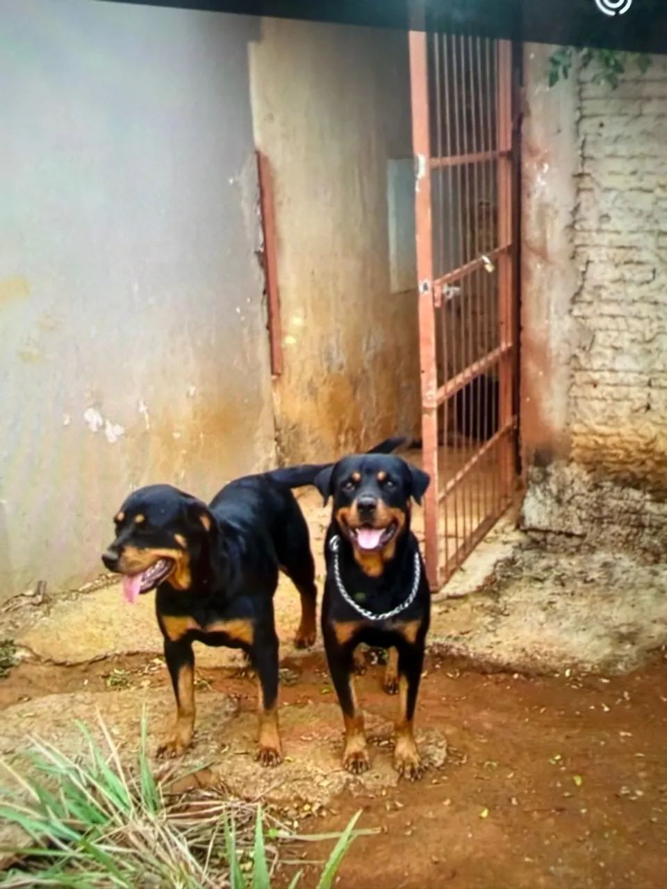 Doação  - Foto 2
