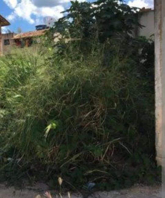 Terreno na Estrada das Canoas - Foto 3