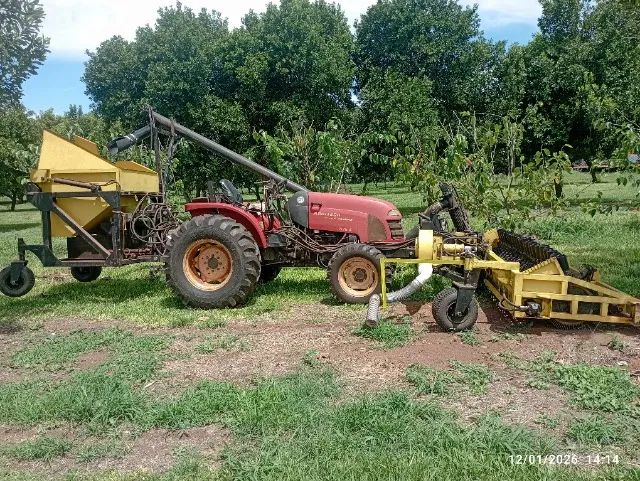 Recolhedora/colhedora de macadâmia 