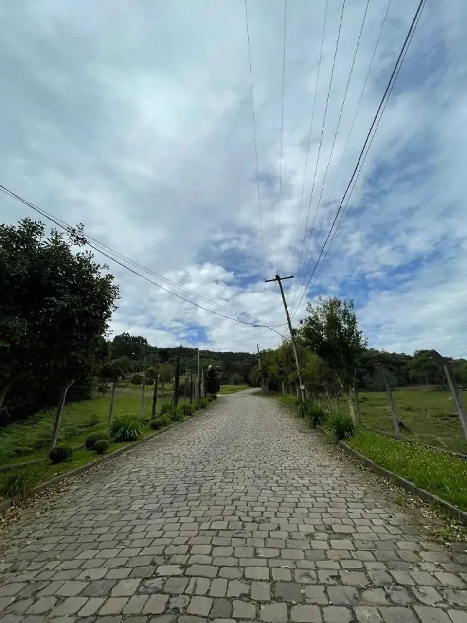 CAXIAS DO SUL - Terreno Padrão - LINHA 40 - Foto 3