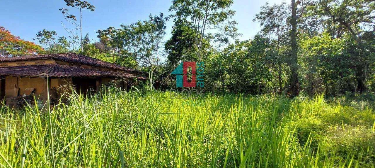 Vargem Grande | Terreno - Foto 8
