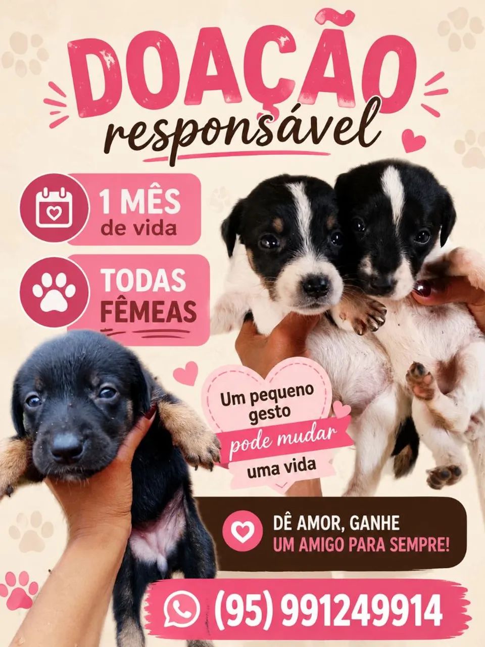 Doação 