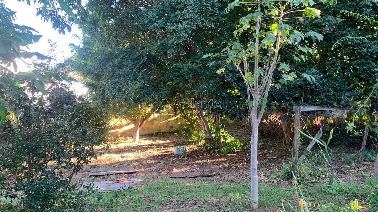 terreno - Chácara Primavera - Campinas - Foto 2