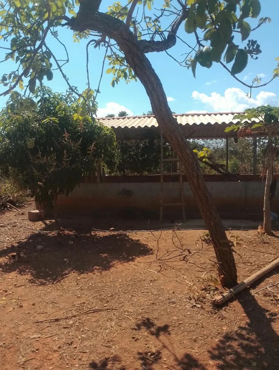 Chácara - Foto 4