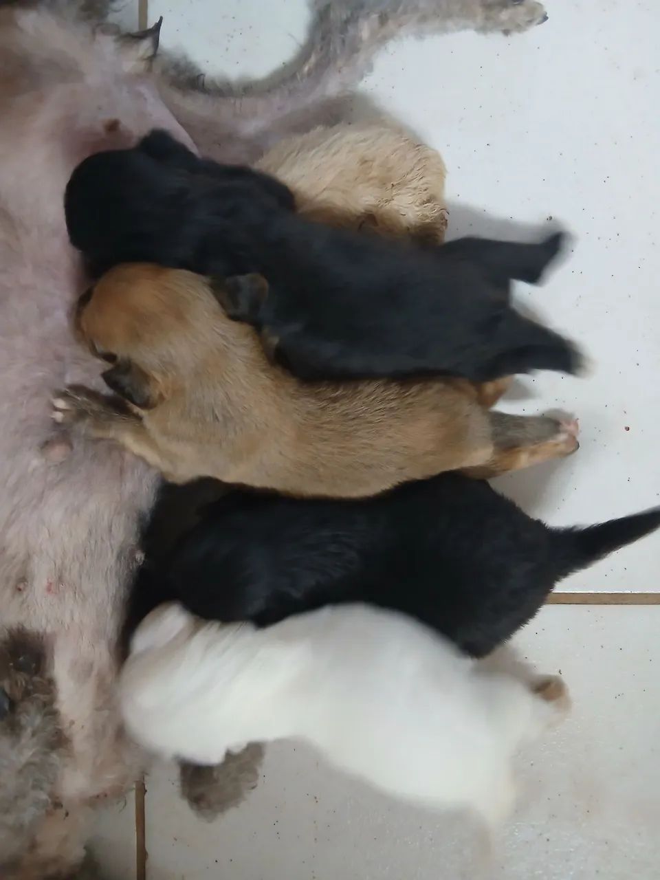 Vendo  - Foto 2