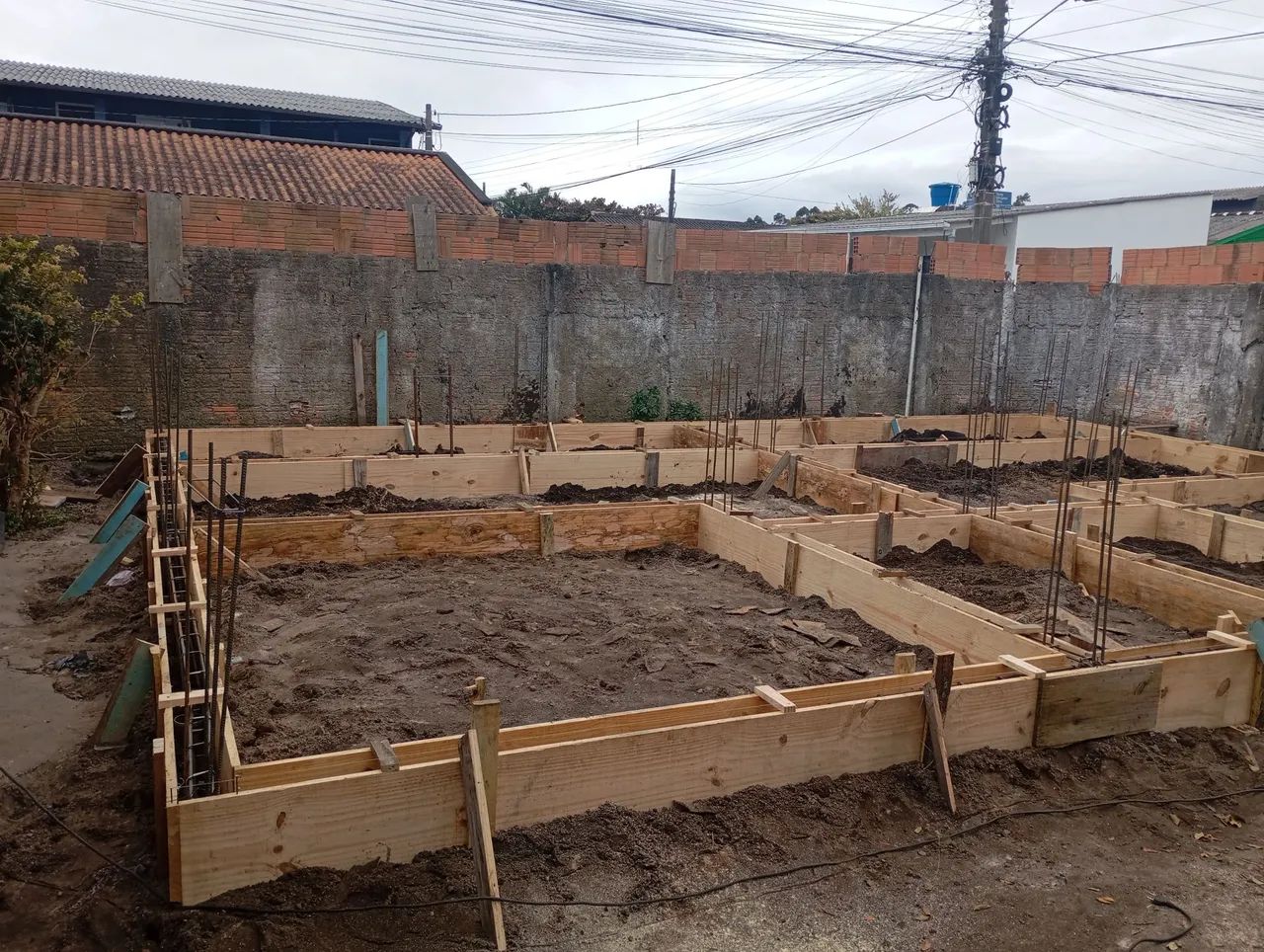 Carpinteiro pedero  - Foto 5