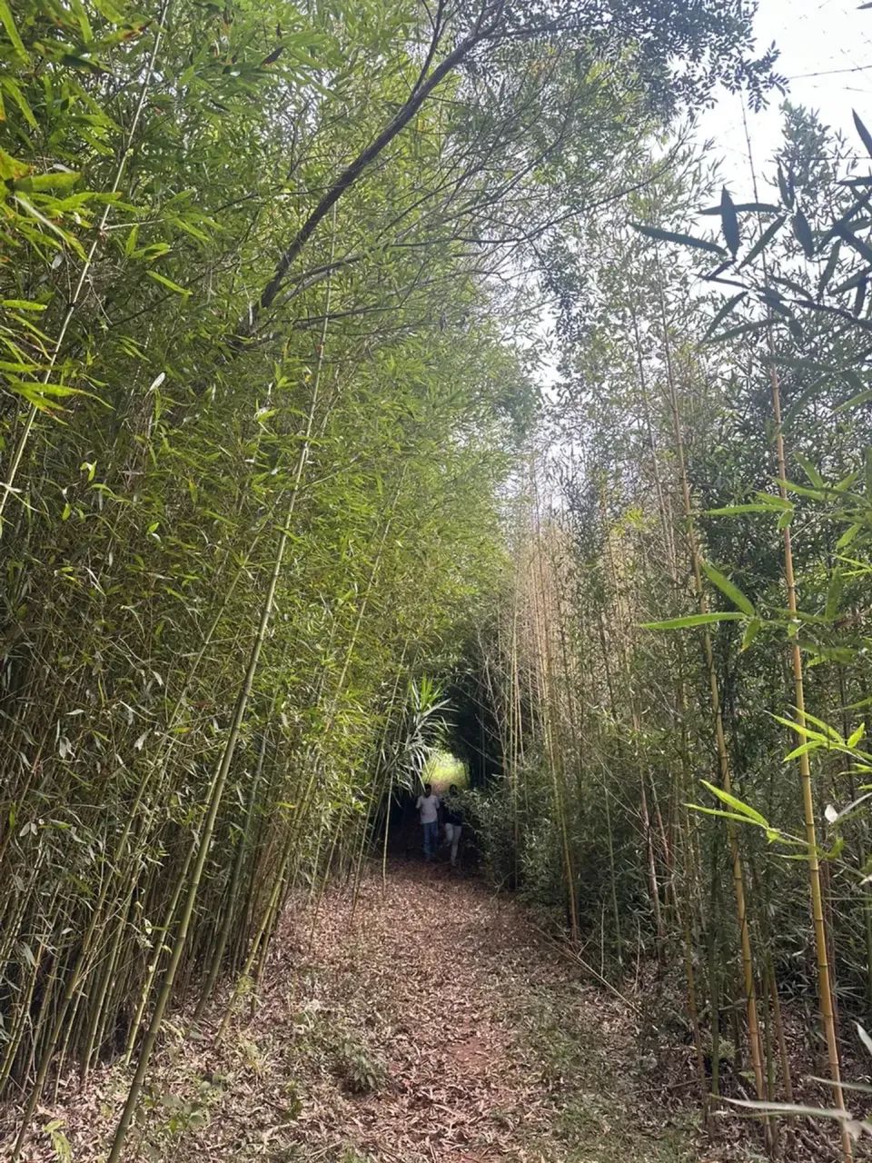 Invista em Mairinque | 1.000m² em Condomínio Fechado - Foto 2