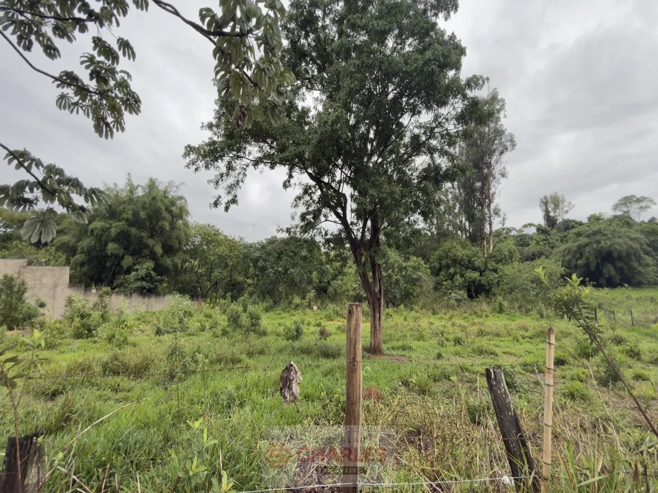 Área Acima De 500m2 Para Venda PIRES ITAPIRA - Foto 5