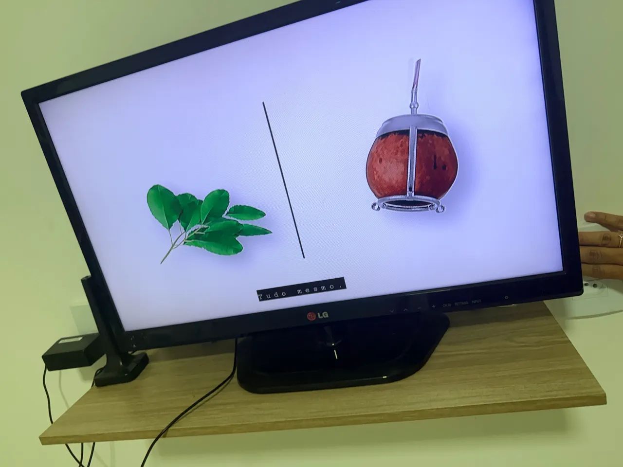 Monitor/TV LG 24? 