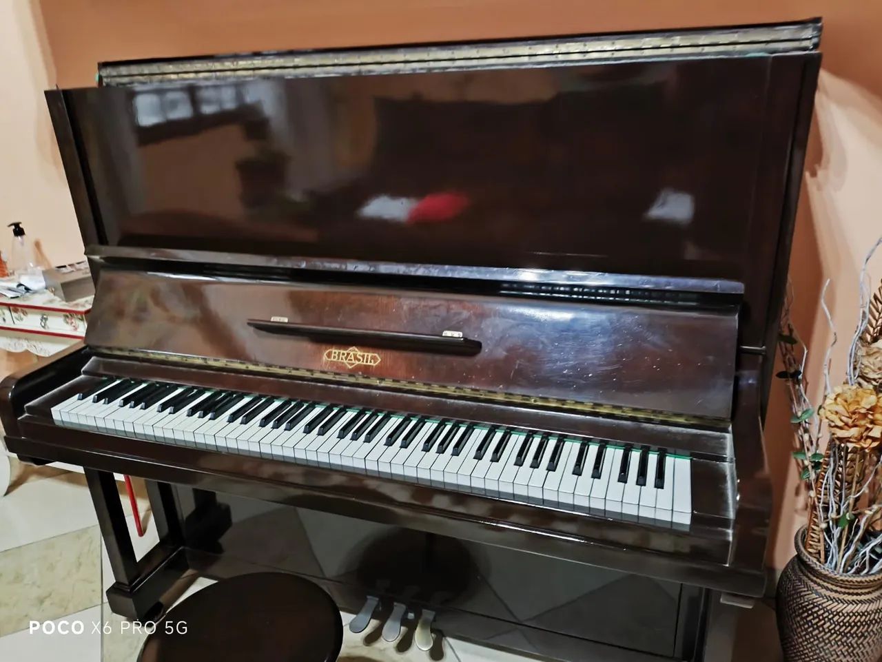 Piano Brasil  - Foto 4