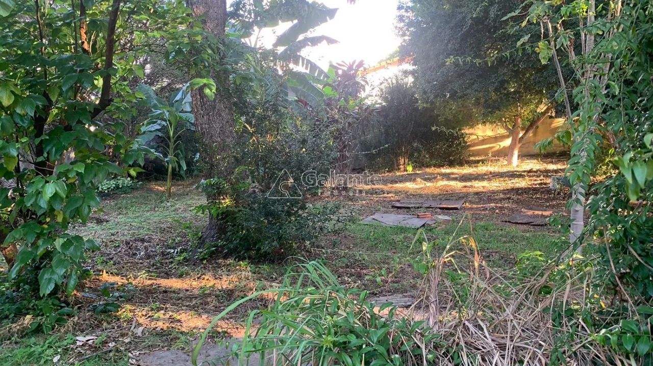 terreno - Chácara Primavera - Campinas - Foto 3
