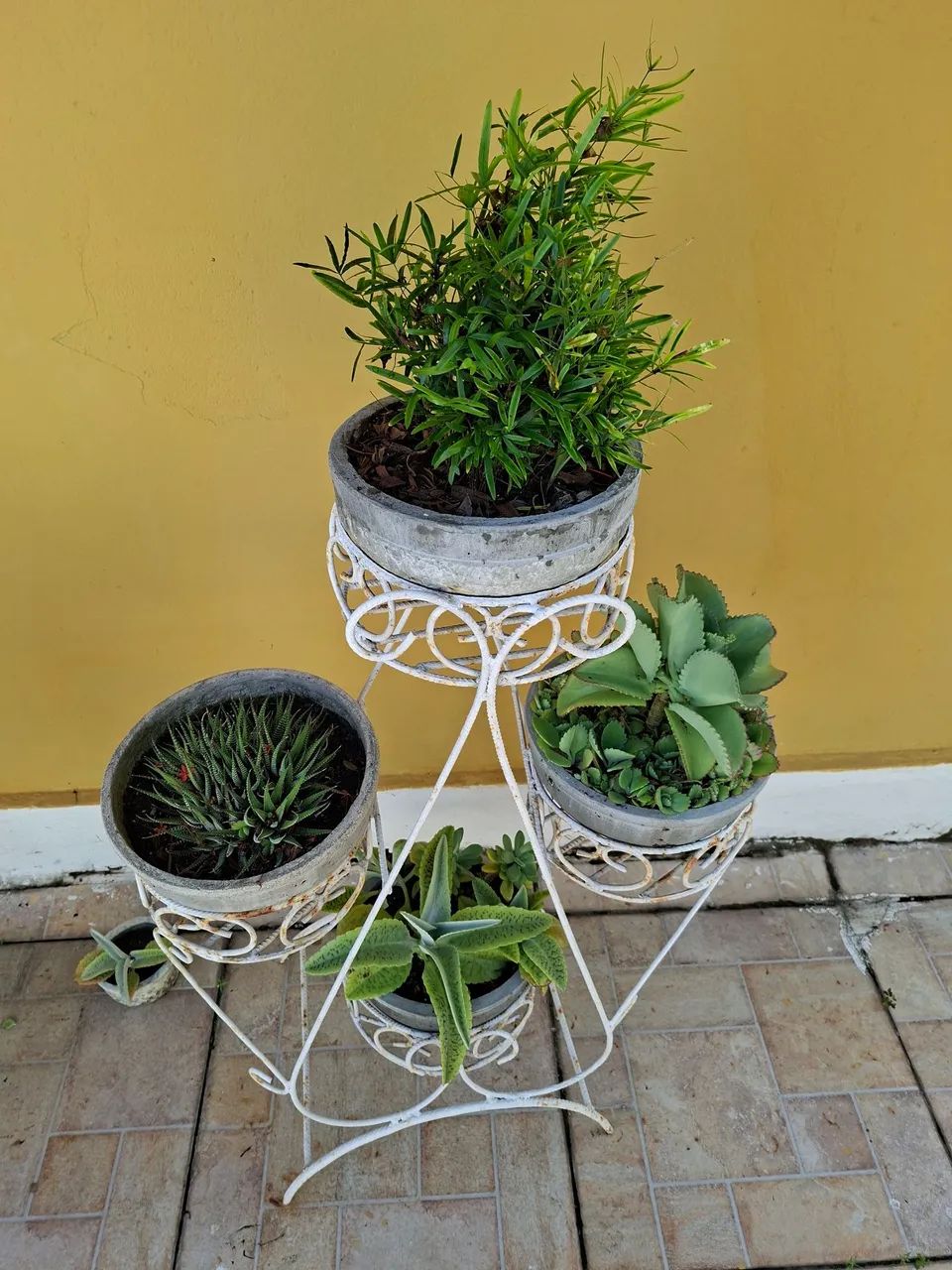 Jarros e plantas - Foto 3