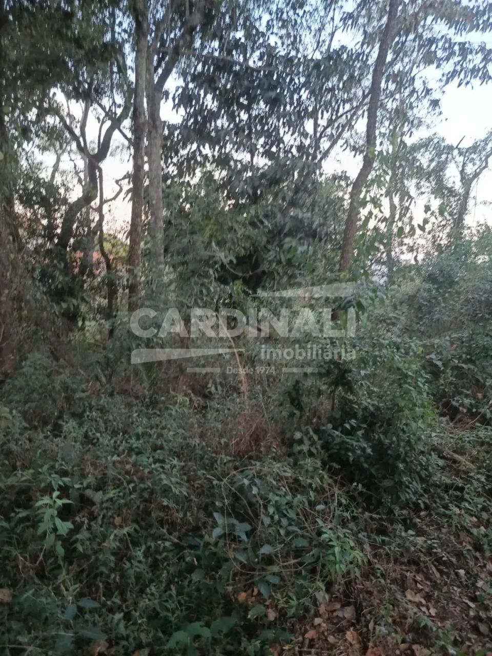 Terreno Padrão em Brotas - Foto 3