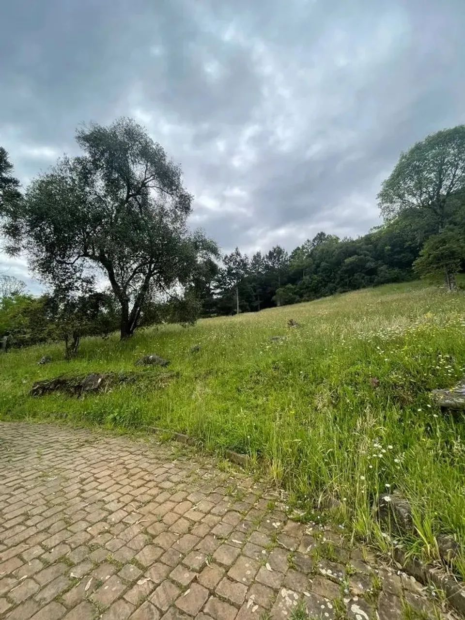 CAXIAS DO SUL - Terreno Padrão - LINHA 40 - Foto 13