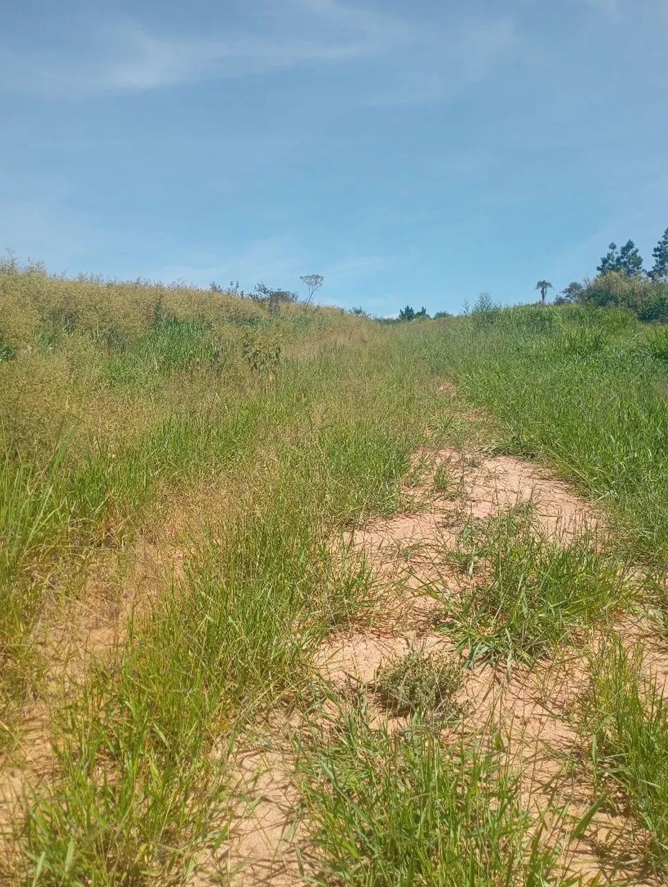 Passando terreno em Mairinque aceito carro 