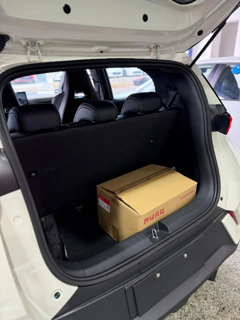 BYD Dolphin Mini (Elétrico) 2027 - Foto 5