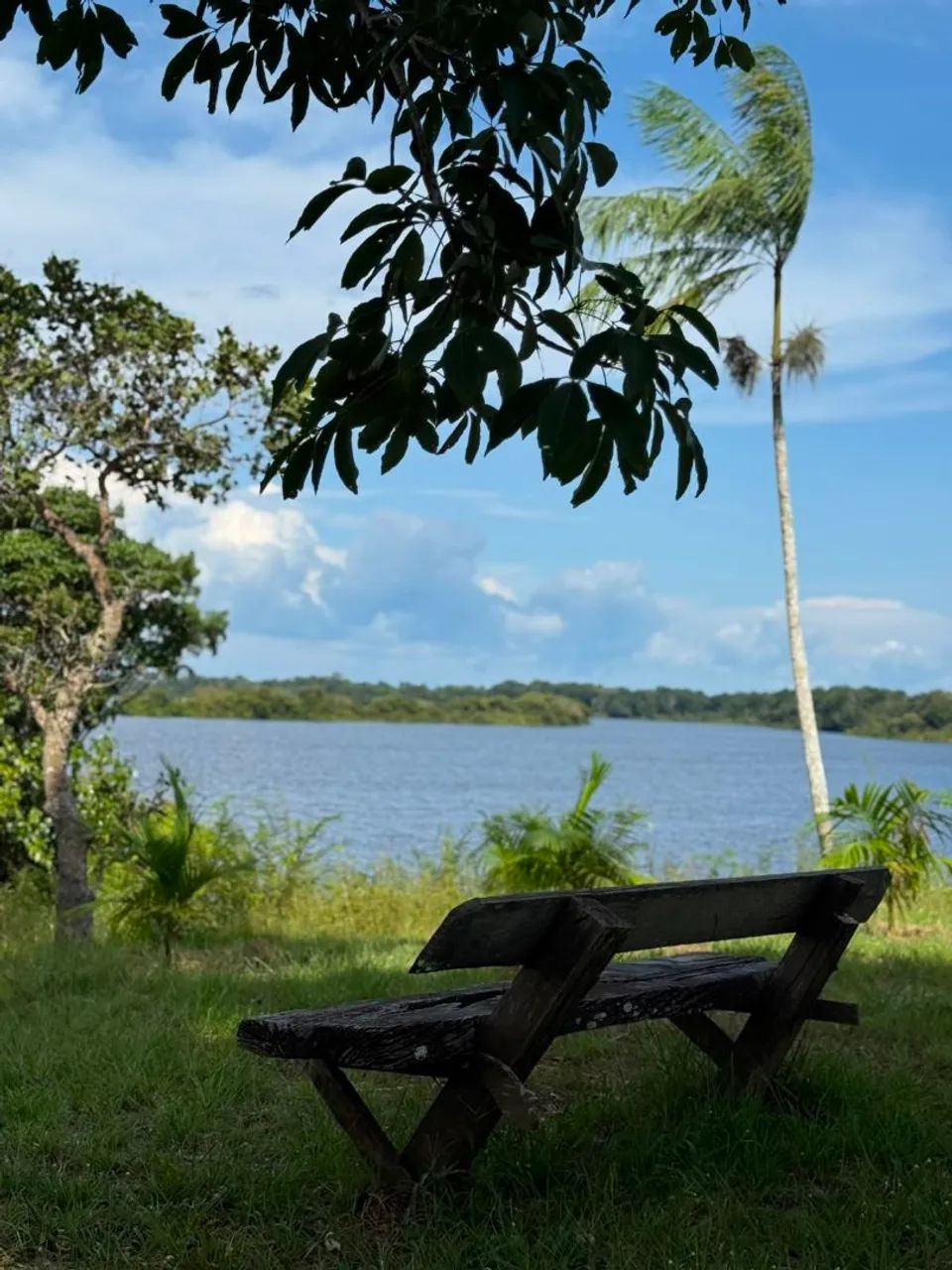 Vendo sítio  - Foto 4
