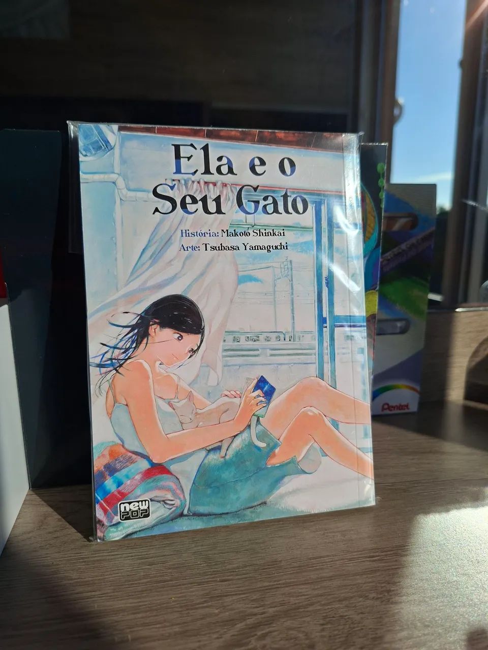 Mangá Ela e o Seu Gato