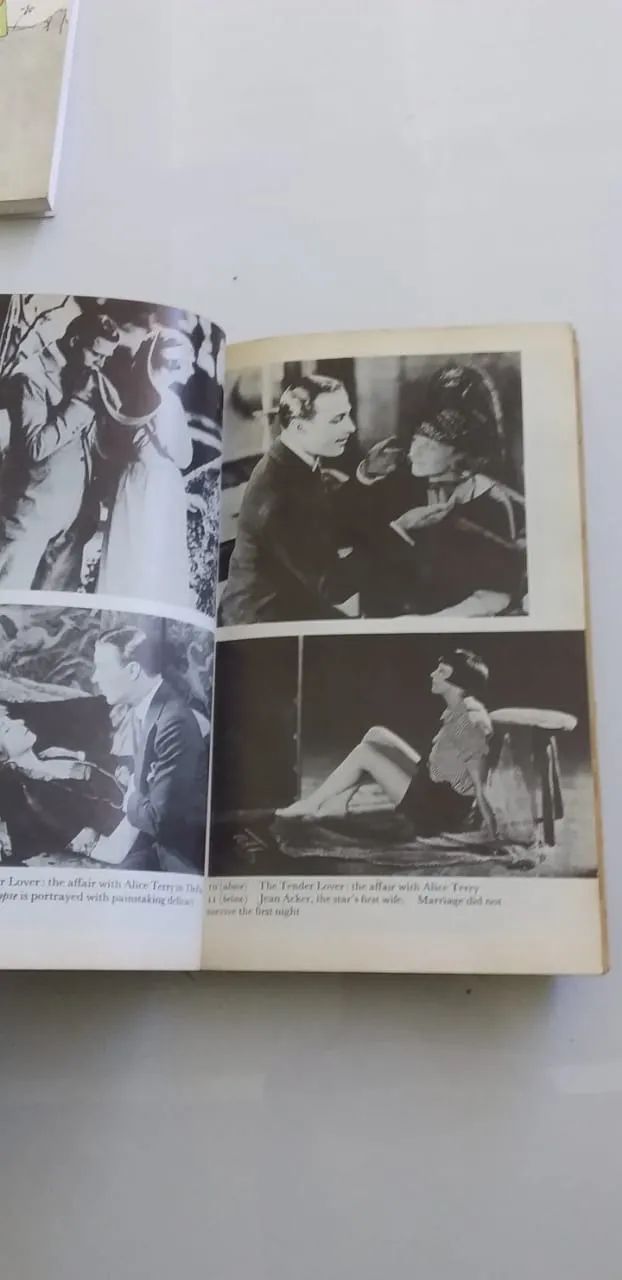 Rudolph Valentino. A fascinating portrait of the silent screen's greatest lover - Foto 2