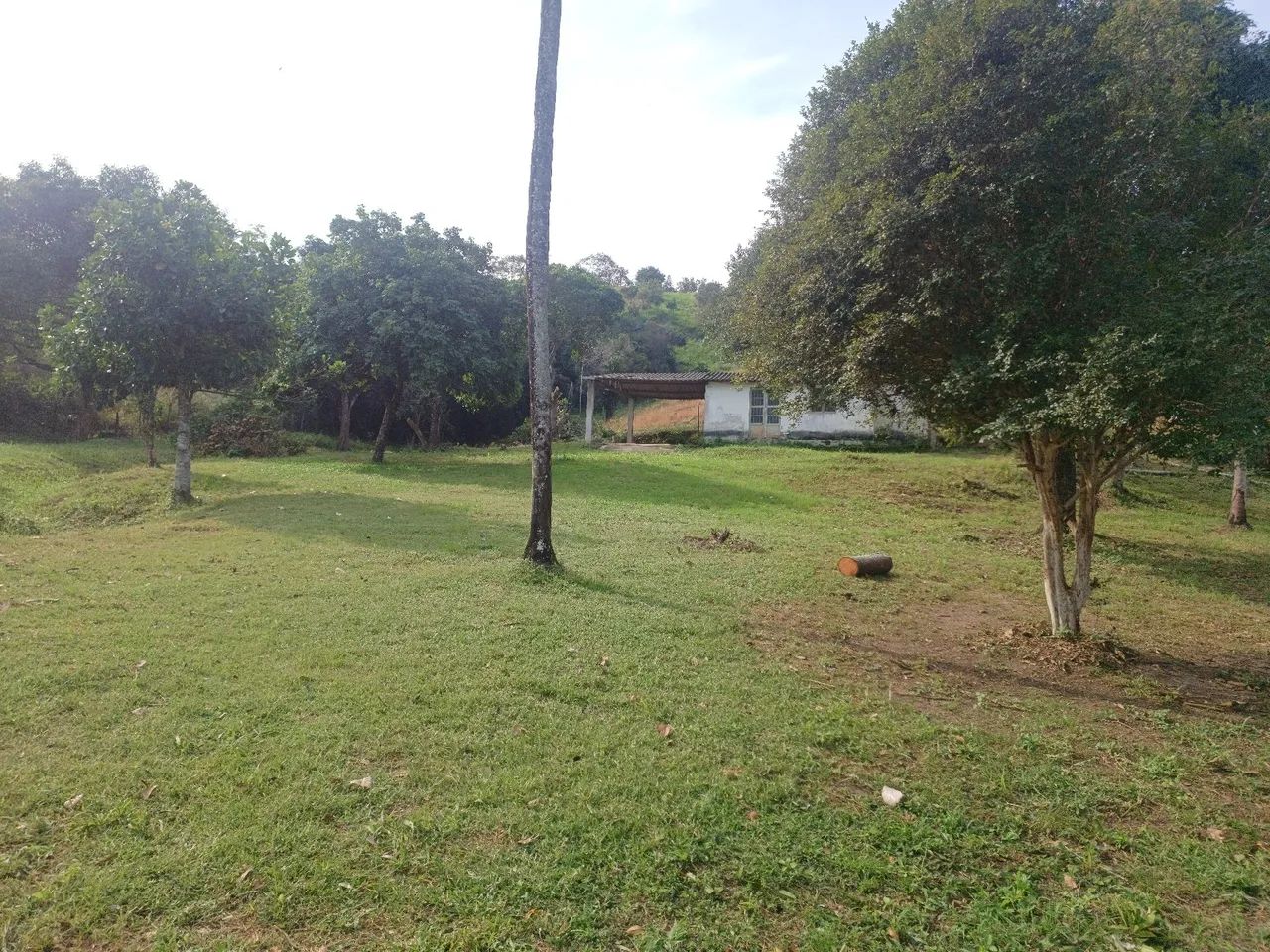 CHÁCARA PRÓXIMA A MARICÁ - Foto 4