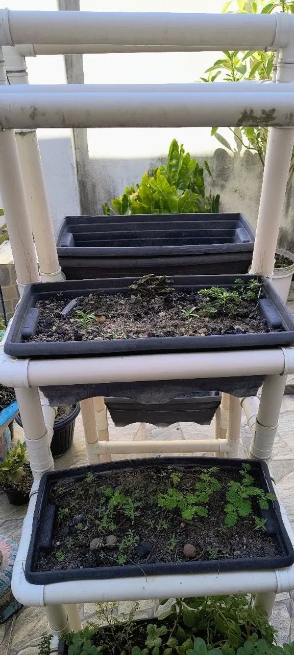 Rack para planta e hortaliças 