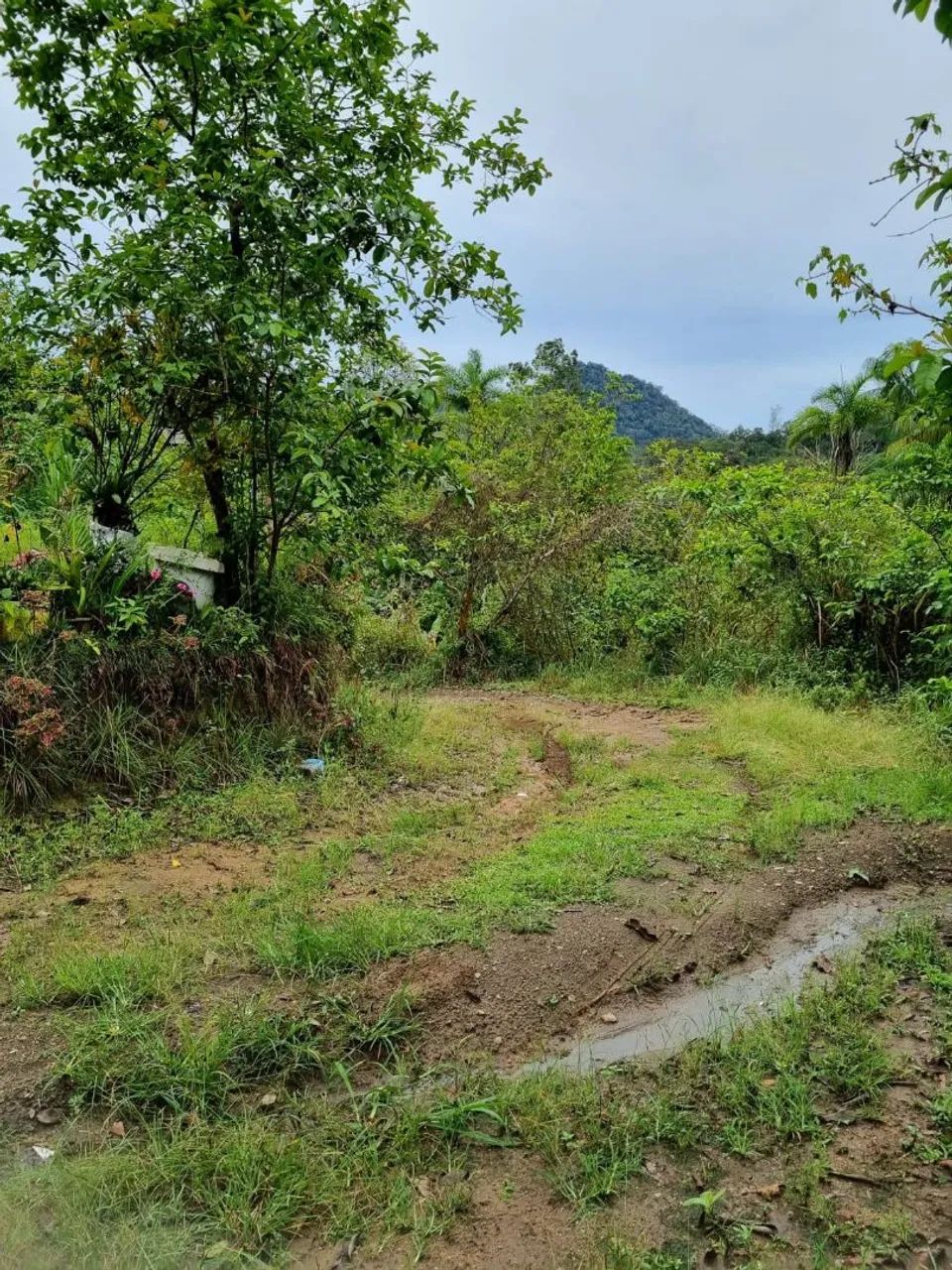 CHÁCARA À VENDA PERUIBE $150 MIL  - Foto 3