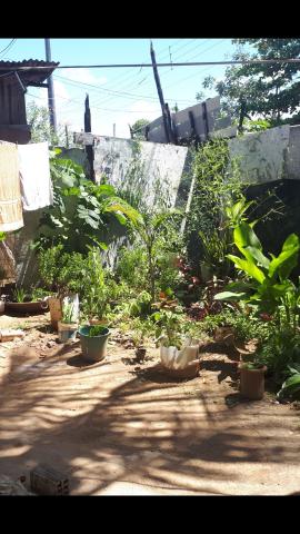 Vende -se terreno, Rua Memorial Arcoverde, obs.: Dá -se o nome de rua,mas é beco - Foto 2
