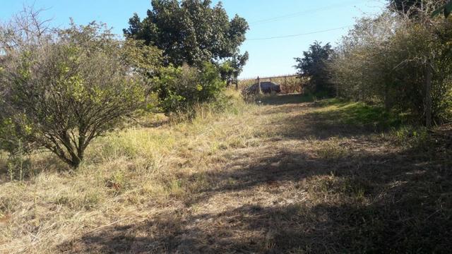 Lote 12000m2 Fundos com Rio 3 Bocas em londrina - Foto 4