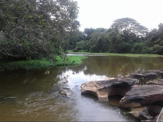 Três terrenos 500m2 cada. Ambiente Ecológico Barra de Pojuca Camaçari - Foto 2