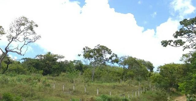 Três terrenos 500m2 cada. Ambiente Ecológico Barra de Pojuca Camaçari