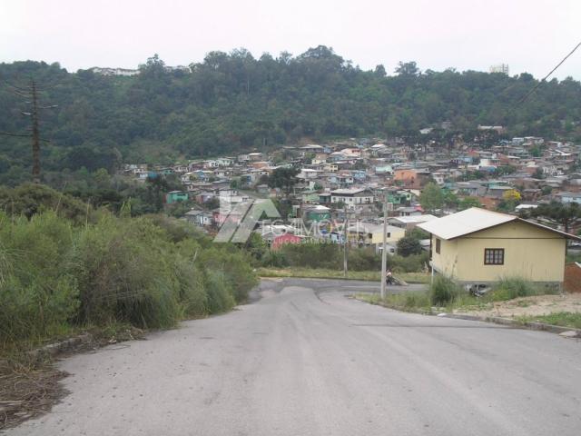 Terreno à venda em Santa catarina, Caxias do sul cod:352883 - Foto 2
