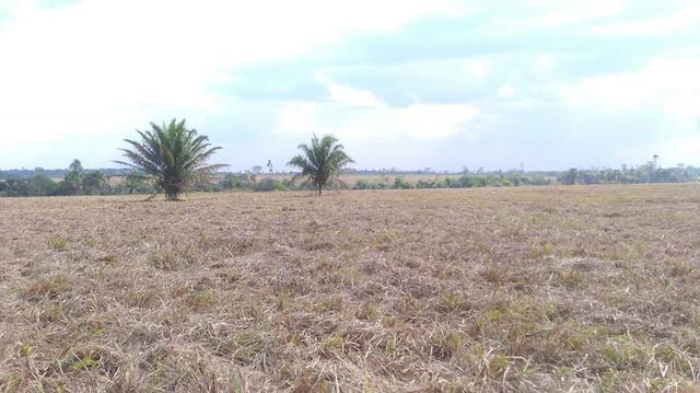 25 MIL HECTARES RO - Foto 11