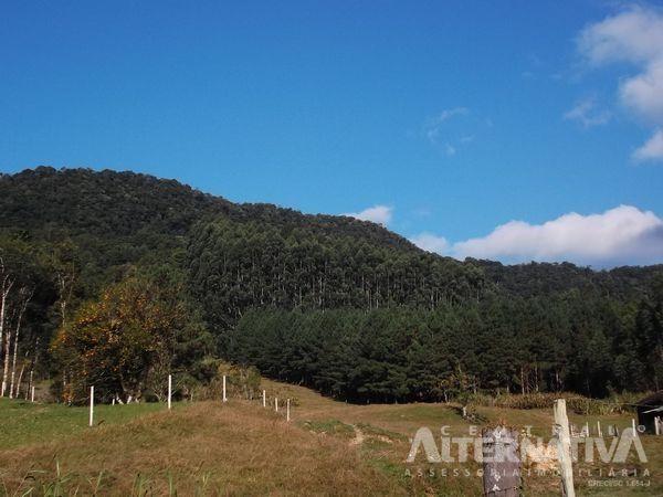 Chácara no ribeirão do zinco - Foto 2